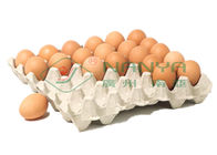 100kw Egg Tray Production Line
