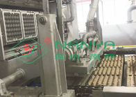 Paper Pulp Molding Equipment Automatic 30 Holes Egg Tray Machine