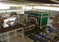 Full Auto Rotary Egg Tray Machine 3000pcs per hour / Energy Recycling Egg Carton Machinery