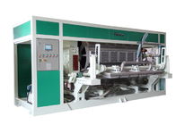 Cup Carrier / Egg Tray Pulp Molding Equipment 3000Pcs To 6000Pcs Per Hour