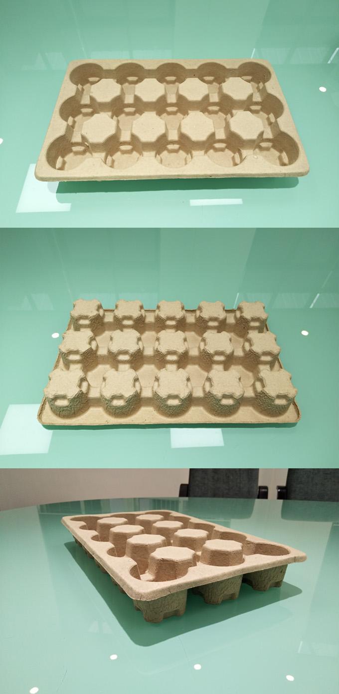 Pulp Molding Tray Forming Machine With Double Working Stations