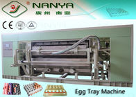Fully - Auto Egg Tray Production Line Single Layer Drying Line 6000Pcs/H