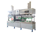 Small Manual Paper Plate Making Machine 12 Months Warranty Drying In Molds