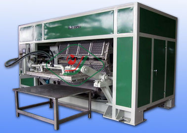 Full Auto Moulded Pulp Egg Tray Production Line for Cup Holder / Paper Tray