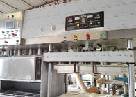Molded Pulp Paper Plate Making Machine for Easy Operating  Ecowares Production Line