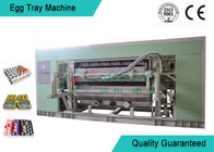 Fully Auto Molded Tray Making Machine For Egg Tray / Egg Carton / Seeding Cup Production Line
