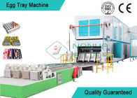 Professional Rotary Egg Tray Machine Multi - Layer Dryer Egg Tray Production Line