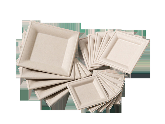 Disposable Wood Pulp Food Container Tableware Making Machine