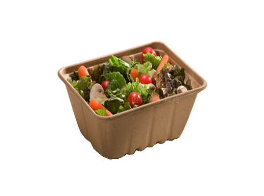 Fast Food Box / Disposable Tableware Making Machine Drying in Mould 7000Pcs / H