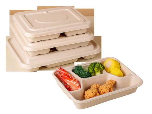 Biodegradable Paper Tableware Making Machine Flexible And Precise Production