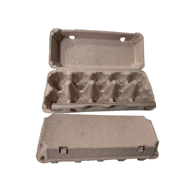 Energy-saving Auto Paper Egg Tray / Egg Carton Machinery with 2000Pcs / H