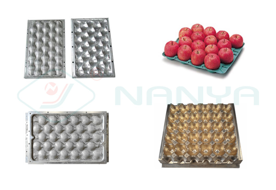 4000Pcs / H Energy Saving Paper Egg Tray Machine / Pulp Molding Equipment