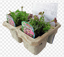Recycled Paper Egg Box / Egg Carton Production Line 12 Months Warranty