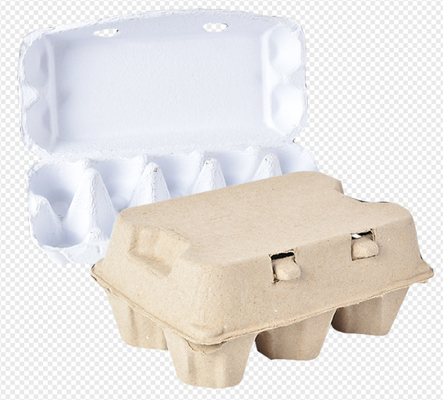 4000Pcs / H Energy Saving Paper Egg Tray Machine / Pulp Molding Equipment