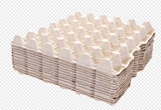 4000Pcs / H Energy Saving Paper Egg Tray Machine / Pulp Molding Equipment