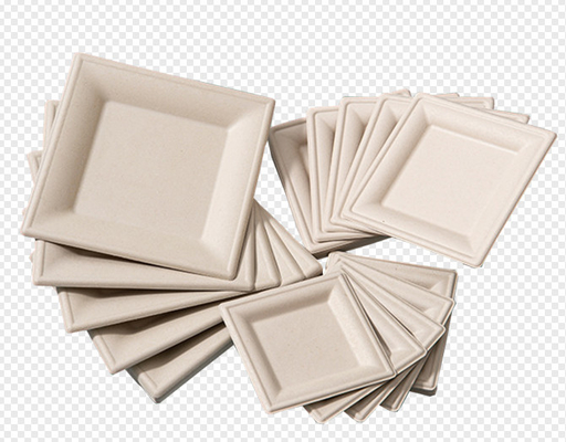 Virgin Paper Pulp Molding Euipment Food Plate / Lunch Box Machine