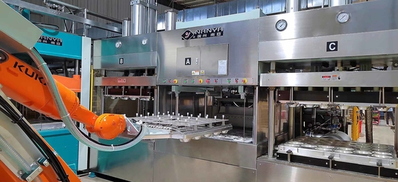 Fully Automated  Bagasse Pulp Tableware Machinery In Wood Pulp