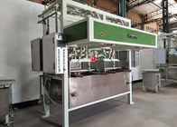 Pulp Molding Tray Forming Machine With Double Working Stations