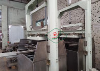Sun Drying Small Disposable Paper Egg Tray Forming Machine With Stainless Steel