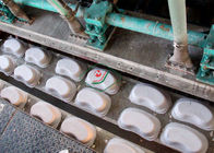 High Capacity Rotary Paper Egg Tray / Medical Tray Making Machinery