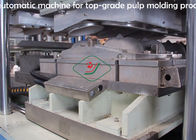 Pulp Molding Electronics Paper Box Packaging Machinery / Thermoforming Equipment