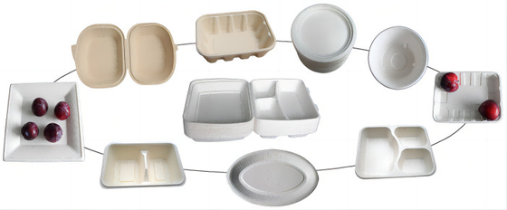 Automatic Paper Pulp Molding Integrative Laboratory Machine
