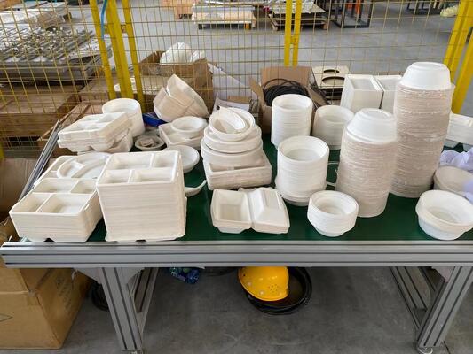 300Kg/H Biodegradable Pulp Molding Tableware Equipment  40 Ton Pressure