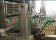 Automatic Rotary Egg Tray / Egg Carton Making Machine High Output Pulp Molded