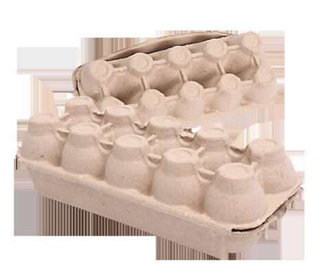 Auto Rotary Egg Tray Machine Waste Paper Pulp Moulding Equipment