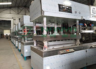 High Power Production Line For Pulp Molding Tableware 3~4 Ton/Day