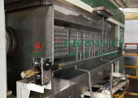 Large Capacity Pulp Molding Equipment / Egg Tray Egg Carton Production Line