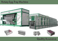 Energy Saving Pulp Molding Equipment For Egg Tray , Egg Carton Multiple Layer