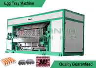 High Output Pulp Molding Machine / Recycled Paper Pulp Moulding Machinery