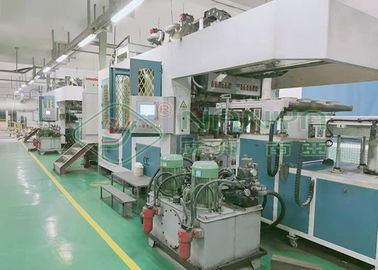 Biodegradable Paper Tableware Making Machine Flexible And Precise Production