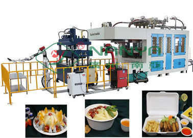 Paper Pulp Molding Equipment Molded Bagasse Fiber Lunch Box Machine