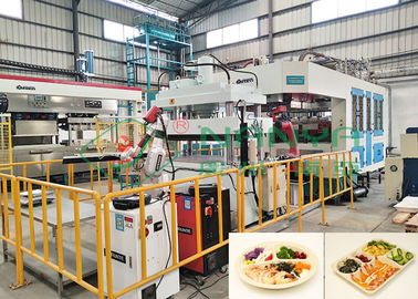 Eco-Friendly Auto Robot Arm Bagasse Fiber Tableware Making Machinery