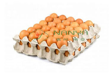 Waste Paper Full Auto Rotating Type Egg Tray Forming Machinery / 5000pcs/ h