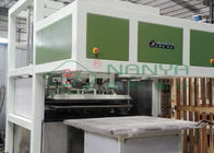 100kw Egg Tray Production Line
