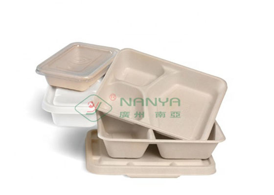 CE Pulp Molding Equipment for Disposable Sugarcane Bagasse Fiber Tableware