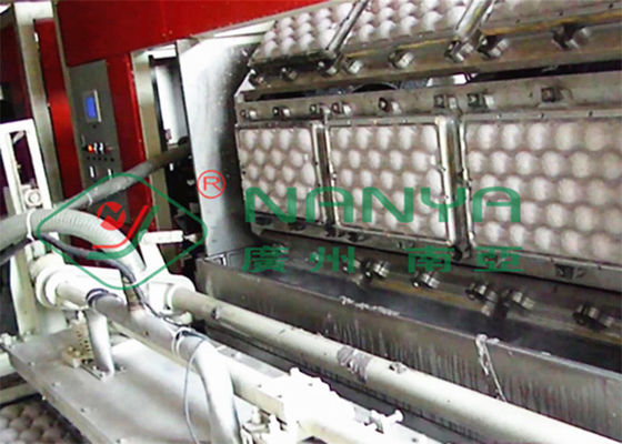 Auto Rotary Egg Tray Machine Waste Paper Pulp Moulding Equipment