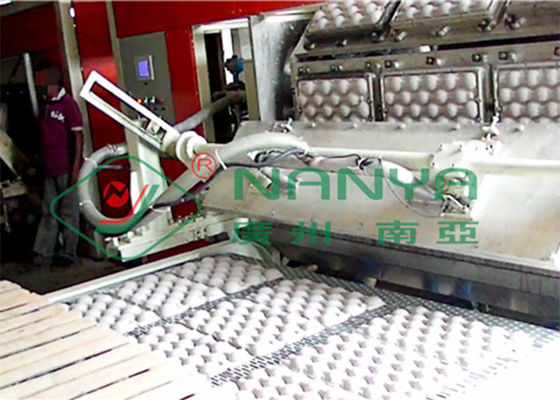 Recycle Paper Fruit Tray Strawberry Tray Egg Tray Making Machine