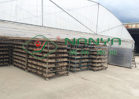 High Capacity Pulp Tray Machine , Egg Tray Pulp Molding Production Line 3000 Pcs / H