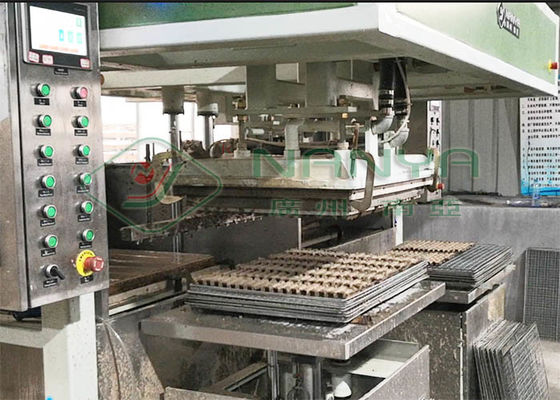 TV Packaging Electronic 80kg/h Pulp Tray Machine