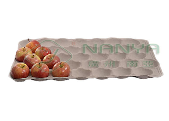 Auto Reciprocating Egg Tray / Pulp Molding Egg Carton Machine 1000pcs/H