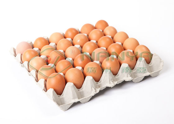 Pulp Molding Paper Egg Carton Machine , Automatic Egg Trays Production Line