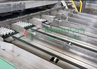 Pulp Molded 600m2 Paper Egg Tray Manufacturing Machine