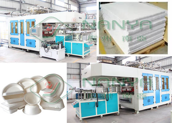 Food Box Container 120kw 1800pcs/H Pulp Molding Machine