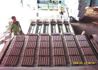 Waste Paper Egg Tray / Egg Carton / Fruit Tray Production line 6000Pcs / Hour