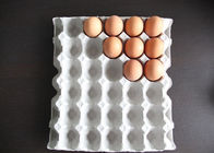 Biodegradable Pulp Moulded Products Disposable Egg Tray with 30 Cavities