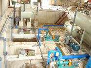 SIEMENS Control Automatic Egg Carton Paper Tray Making Machine 1800Pcs / H